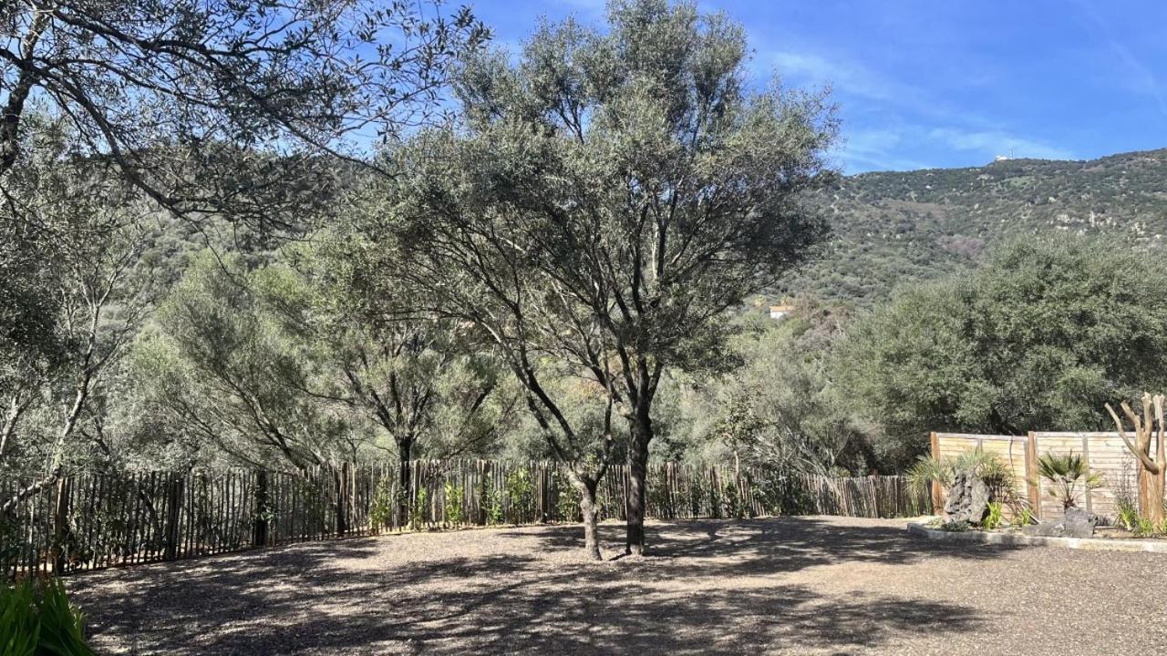 N7 Maison T2 Climatise Avec Jacuzzi Prive Ajaccio  Zewnętrze zdjęcie